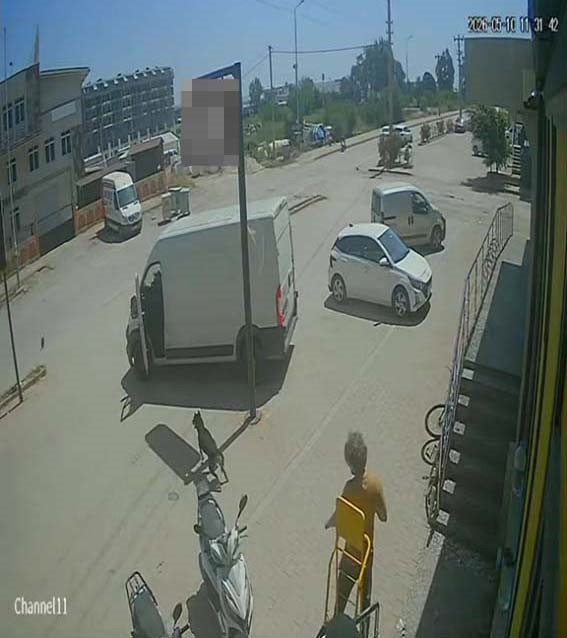 antalyada yabanci uyruklu sahis kedinin uzerine basti kopegi tekmeledi 8 CbH7VMVe
