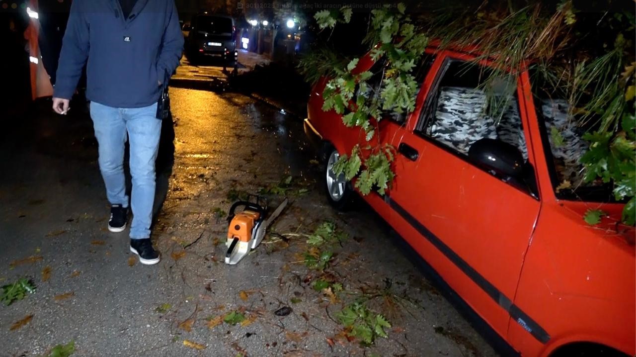 antalyada yagmur ve siddetli ruzgar 10 metrelik agac devrildi iki arac ve bina zarar MIN5kWDQ