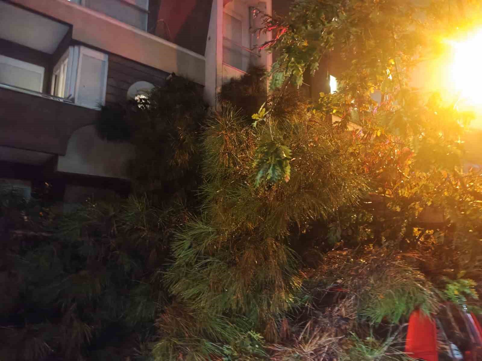 antalyada yagmur ve siddetli ruzgar 10 metrelik agac devrildi iki arac ve bina zarar pumZIp5f