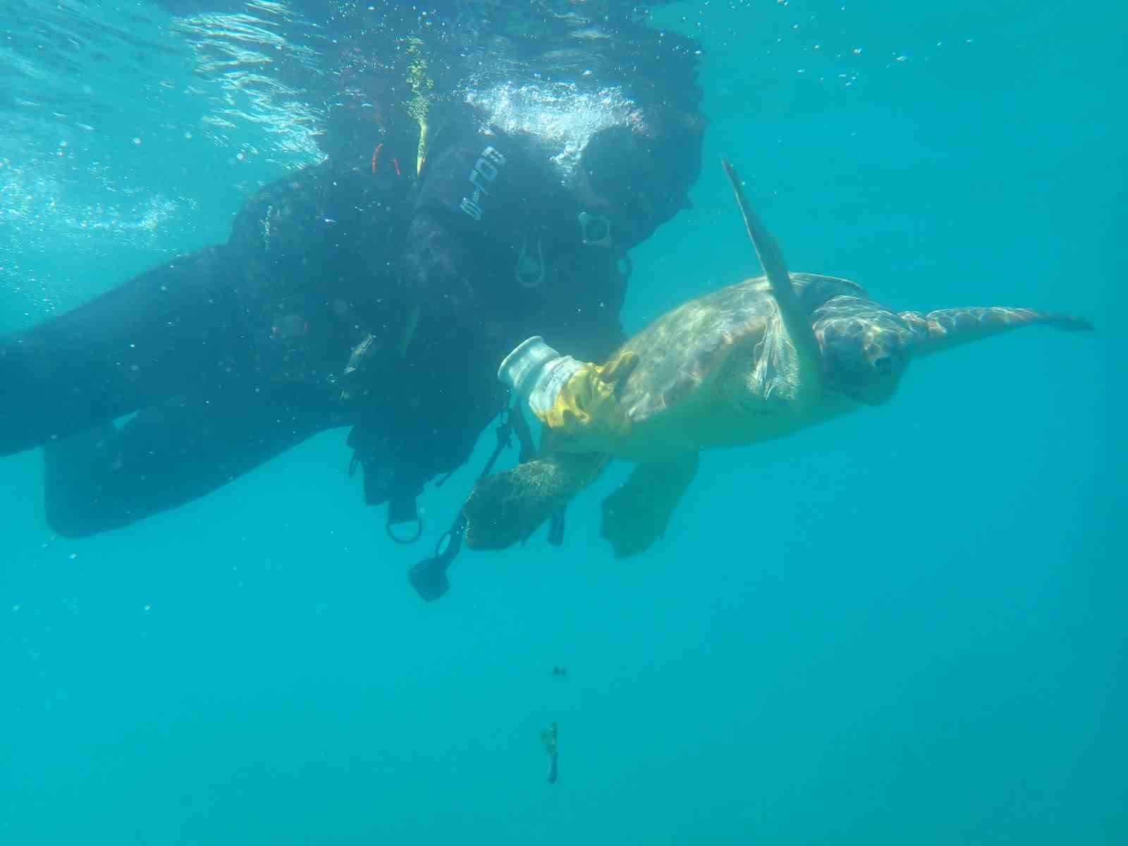 antalyada yarali bulunan caretta caretta tedavisinin ardindan yeniden ozgurluge kavustu 2 5hTQXBe7