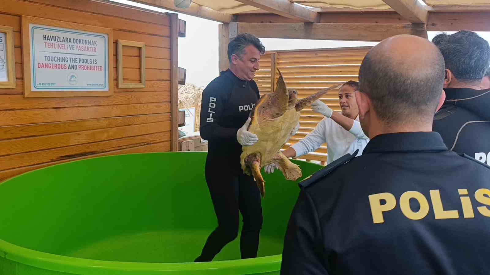 antalyada yarali bulunan caretta caretta tedavisinin ardindan yeniden ozgurluge kavustu 5