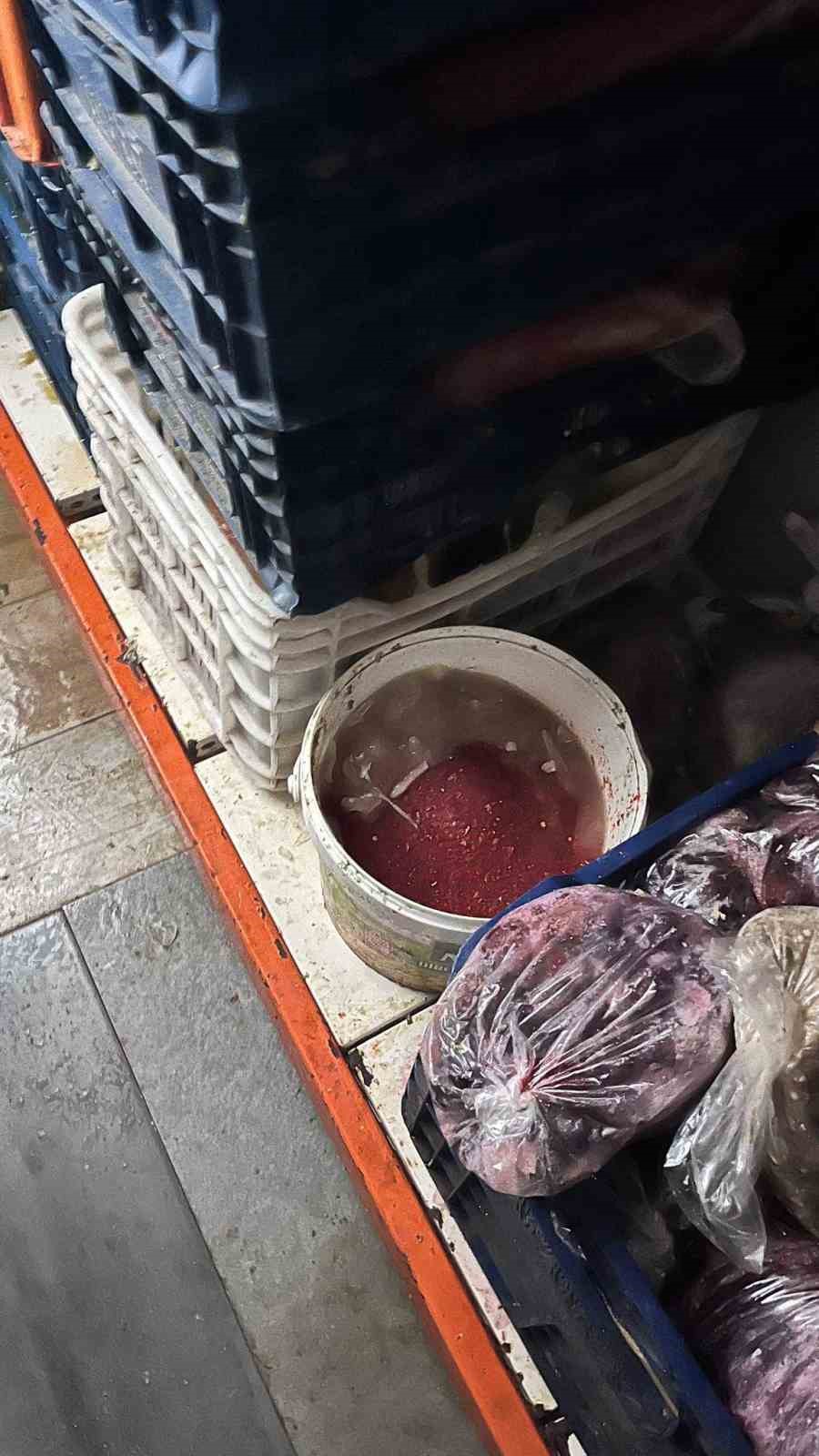 antalyada yarim tondan fazla hayvansal ve bitkisel bozuk gida maddesi ele gecirildi 4 ObrgN1Ek