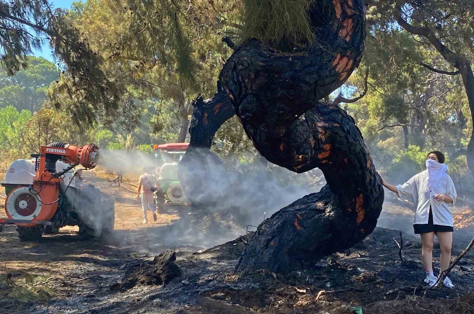 antalyada yilin serbest fotograf odulu ihaya 1