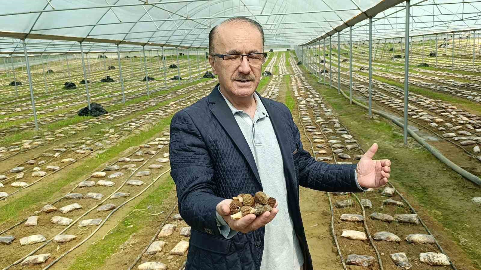 antalyali ziraat muhendisi serada kuzugobegi mantari uretimine basladi 0 gt5H7K79