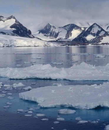 Ice landscape