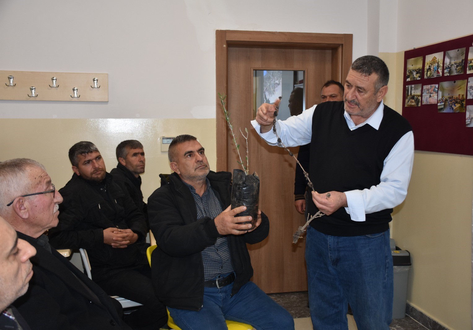 antep fistigi ve zeytin ureticilerine budama egitimi 1