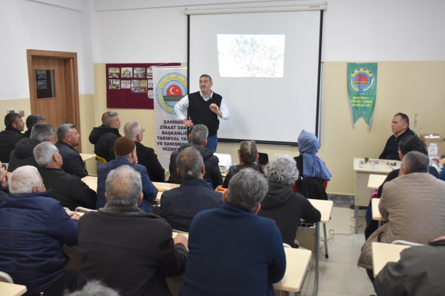 antep fistigi ve zeytin ureticilerine budama egitimi 3