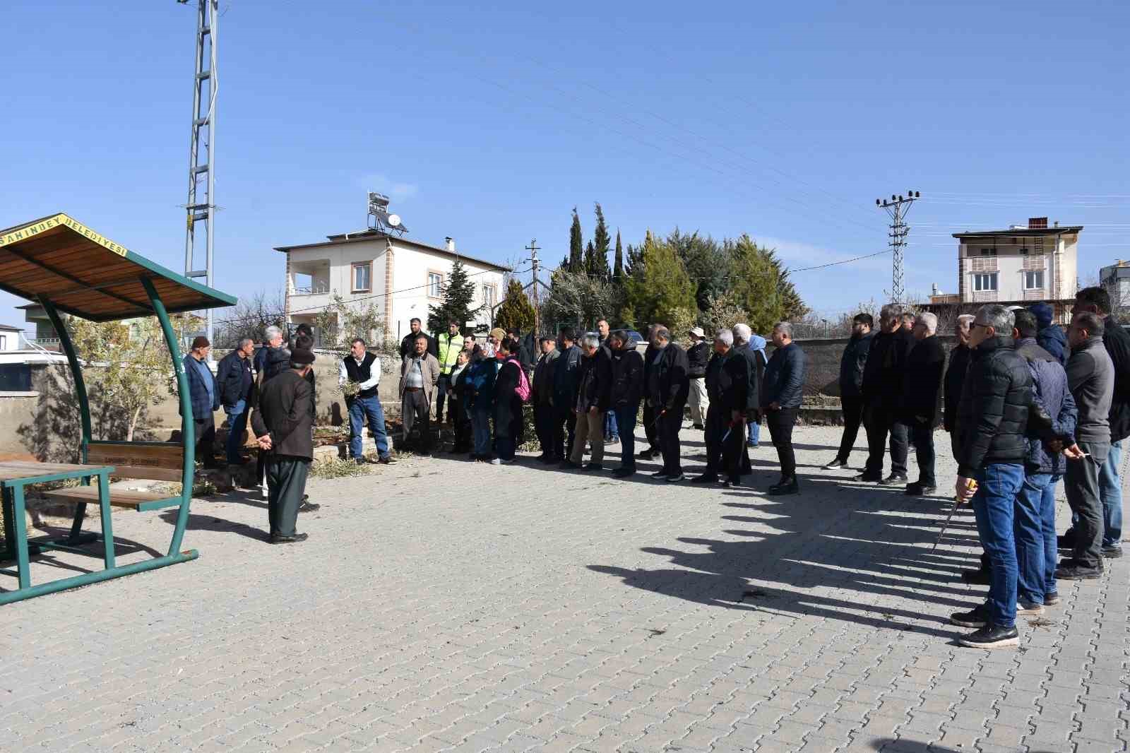antep fistigi ve zeytin ureticilerine budama egitimi 4 acvQFCUb