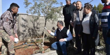 antep-fistigi-ve-zeytin-ureticilerine-budama-egitimi-jBMTV7ZL.jpg