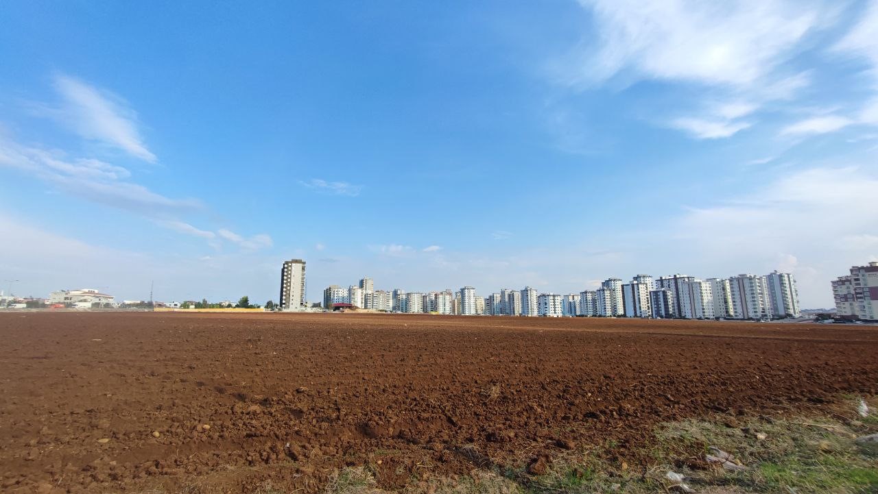 apartmanlar arasinda tarim yapmaya devam ediyor 4 c1LAvEBV