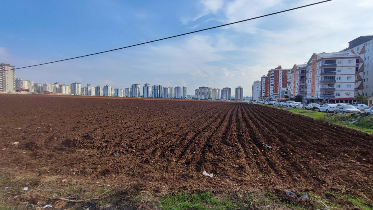 apartmanlar arasinda tarim yapmaya devam ediyor 5 Pv5slIH2