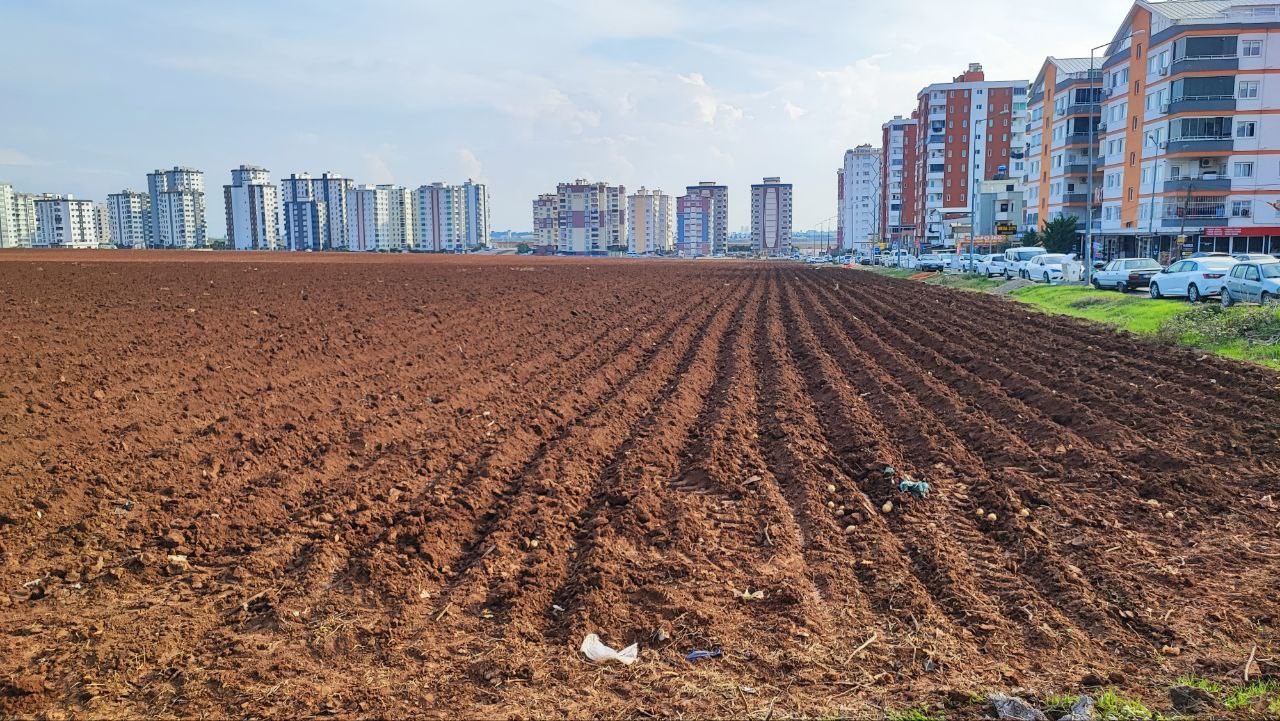 apartmanlar arasinda tarim yapmaya devam ediyor 6 X5yJC9Ow