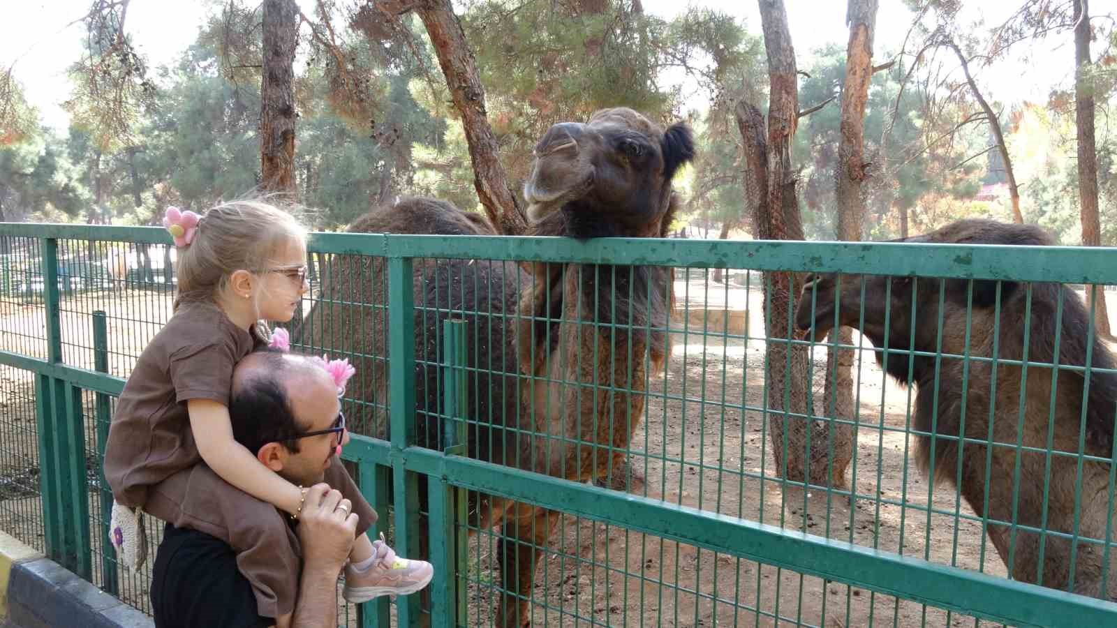 ara tatile cikan ogrenciler solugu hayvanat bahcesinde aldi 5 3jnsmmTq