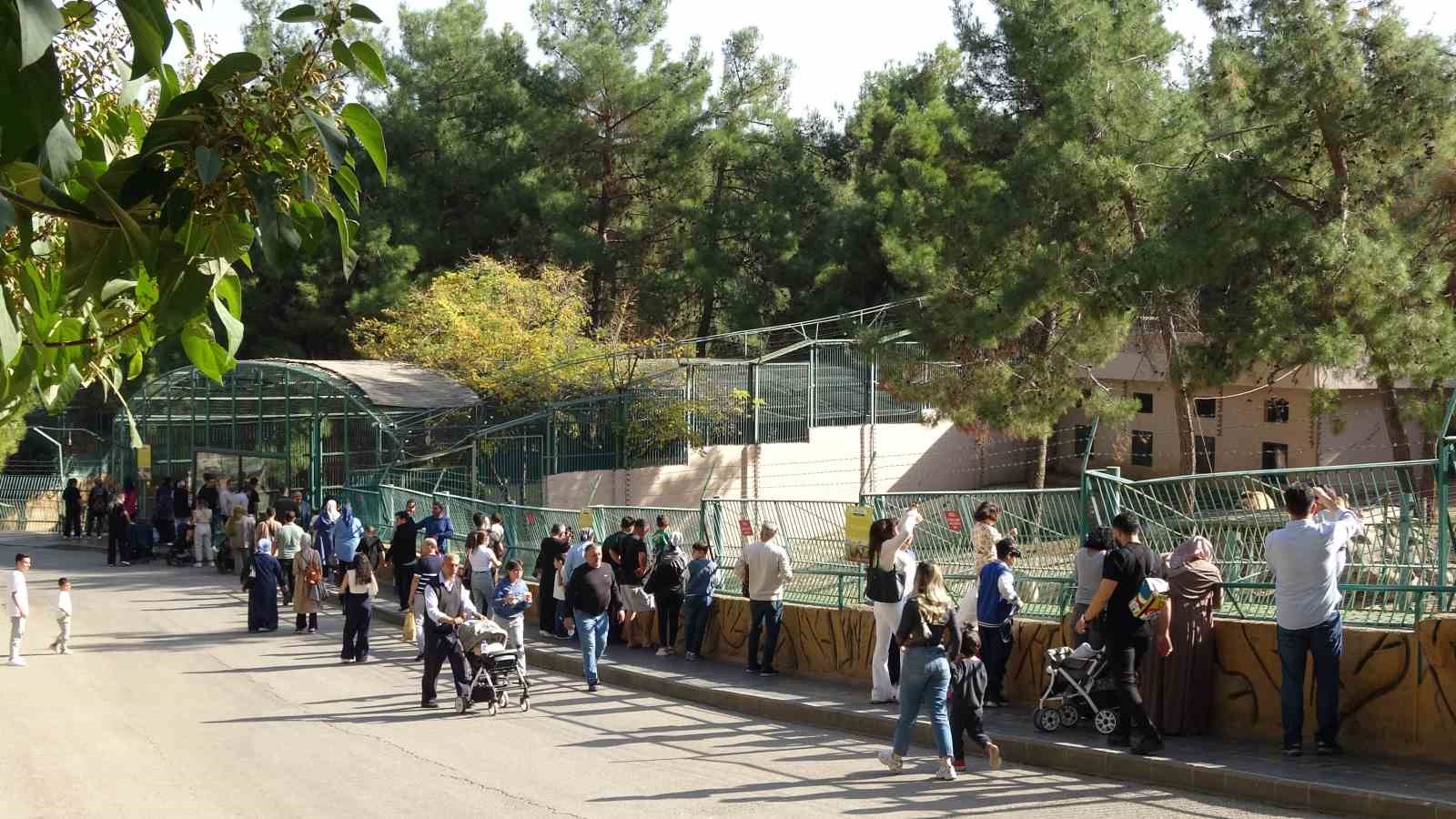 ara tatile cikan ogrenciler solugu hayvanat bahcesinde aldi 6 FjSTtTpi