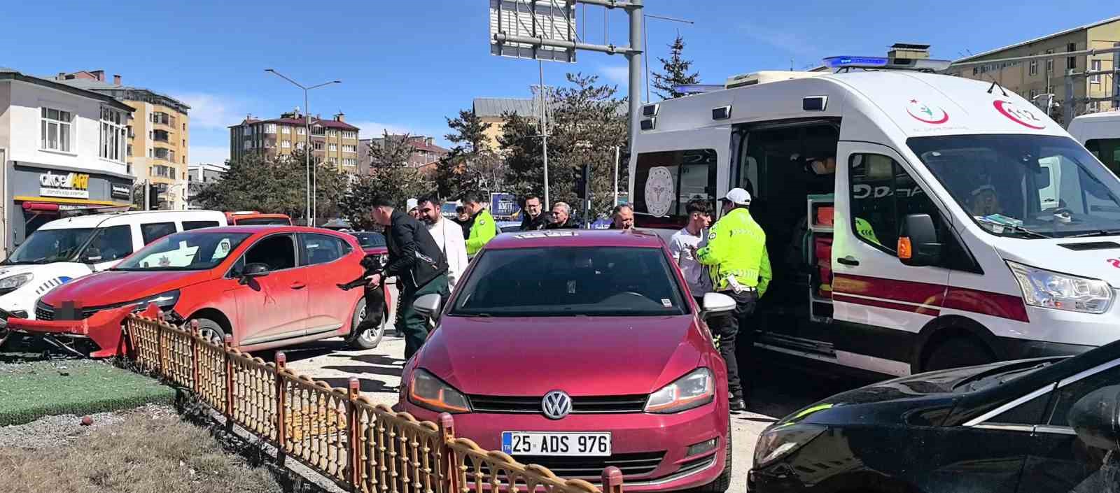 arac icerisindeki kopek uzerine atlayinca direksiyon hakimiyetini kaybetti 0 UjSe38lF