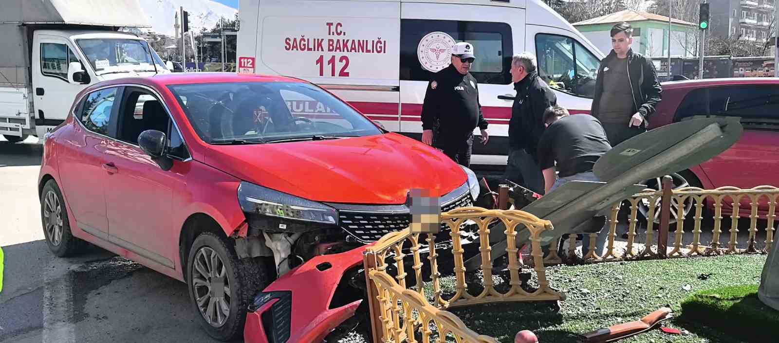 arac icerisindeki kopek uzerine atlayinca direksiyon hakimiyetini kaybetti 1