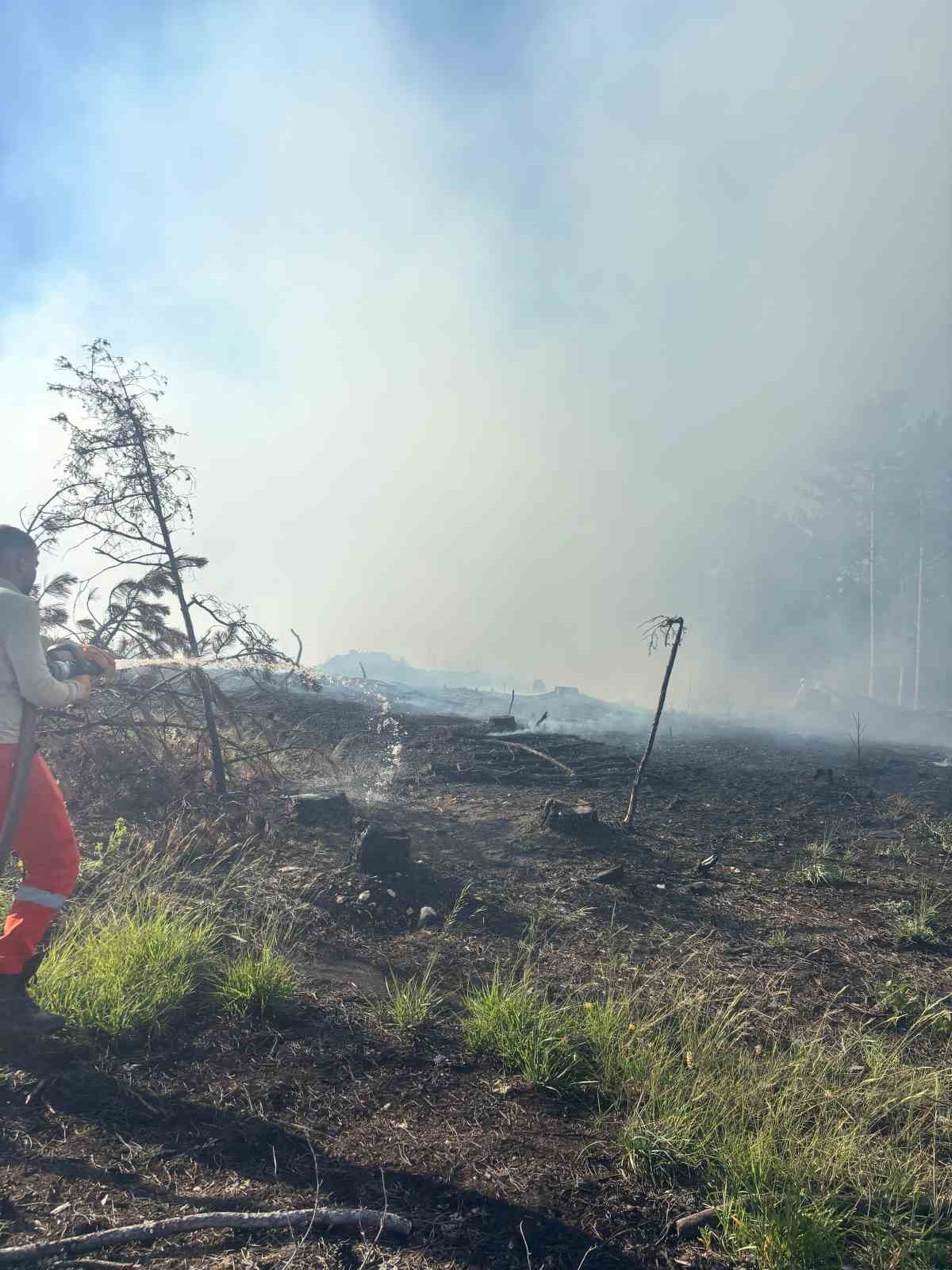 Araç yangını ormanlık alana sıçradı, ekipler alevleri büyümeden söndürdü 5 arac yangini ormanlik alana sicradi ekipler alevleri buyumeden sondurdu 1