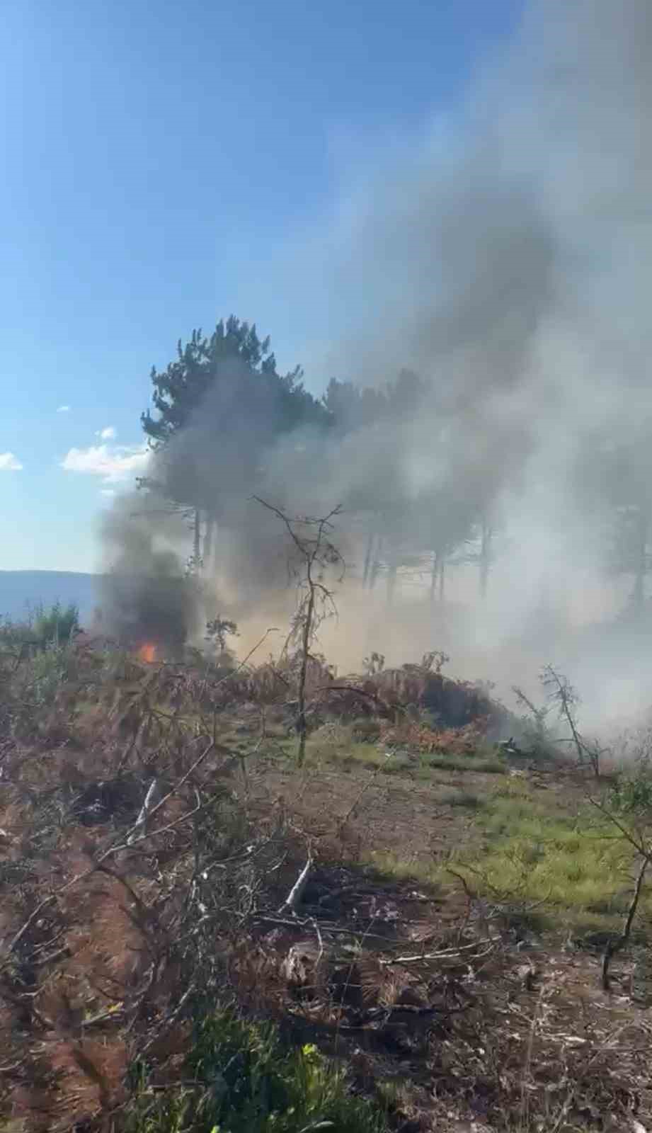 Araç yangını ormanlık alana sıçradı, ekipler alevleri büyümeden söndürdü 7 arac yangini ormanlik alana sicradi ekipler alevleri buyumeden sondurdu 3 Kb9Dchuy