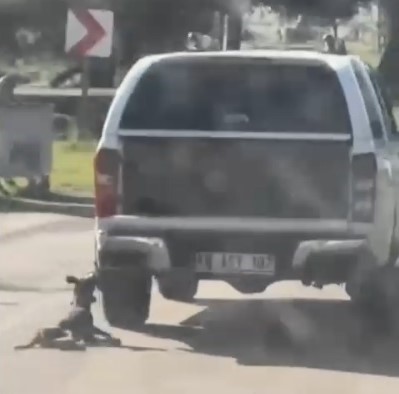 aracla metrelerce suruklenen kopek telef oldu 2 gozalti 0 Vhwp91qj
