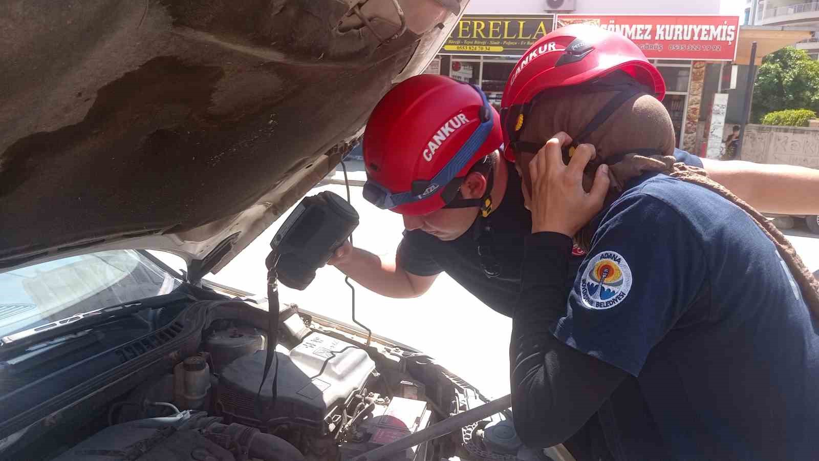 Araçların motoruna giren kedi, itfaiyeyi seferber etti 6 araclarin motoruna giren kedi itfaiyeyi seferber etti 2 uyPl1CJs