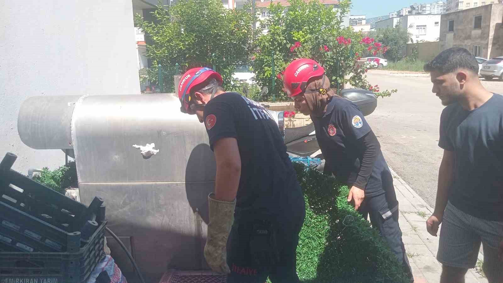 Araçların motoruna giren kedi, itfaiyeyi seferber etti 9 araclarin motoruna giren kedi itfaiyeyi seferber etti 5 MZ8Q7Qvt