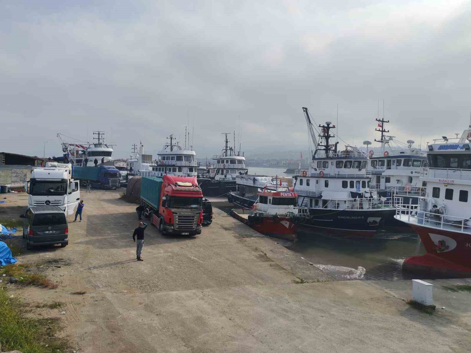 arakli limaninda hafta sonu hamsi yogunlugu 1 8ne4i9Bp