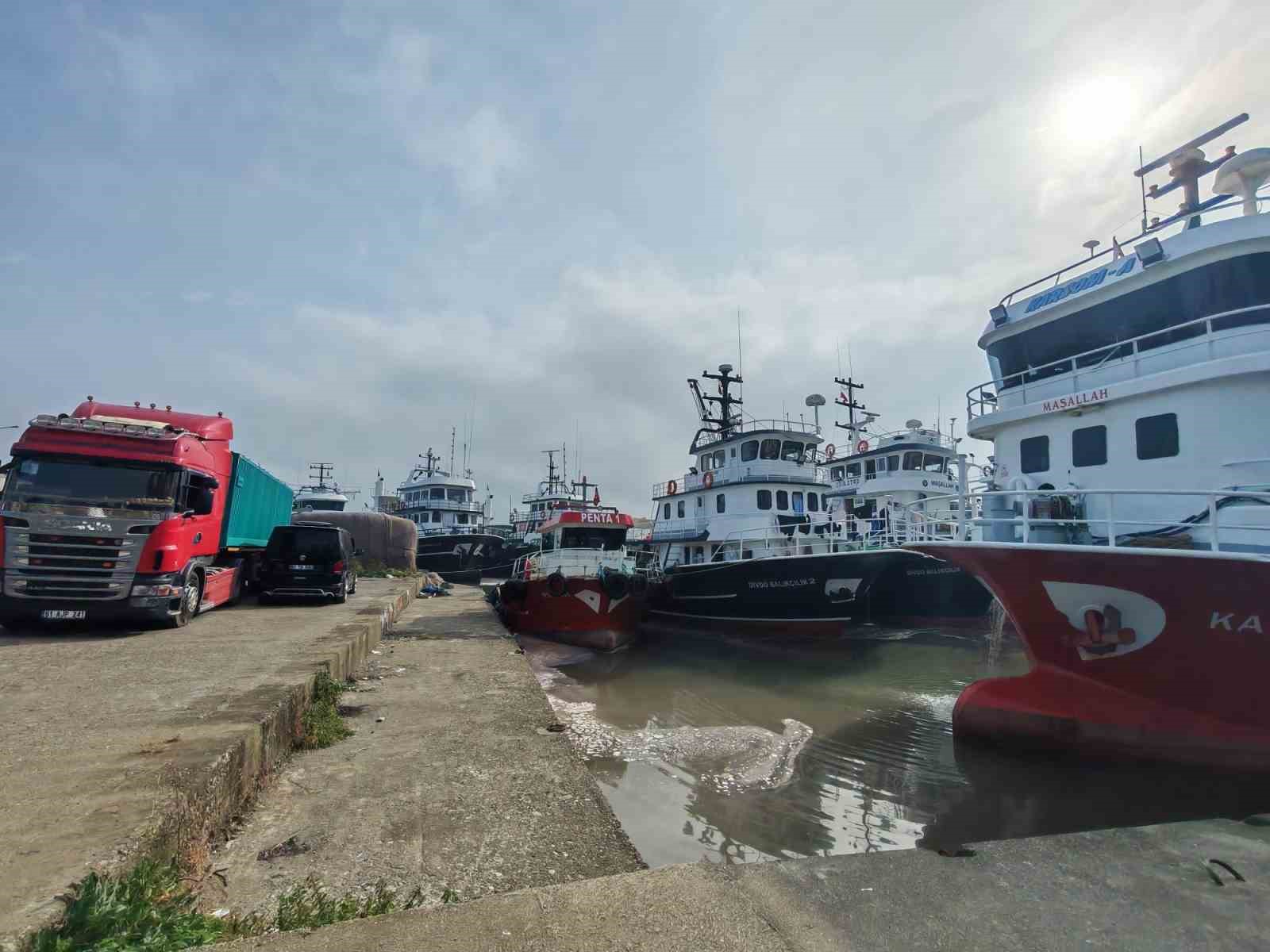 arakli limaninda hafta sonu hamsi yogunlugu 2 tGAjflUu