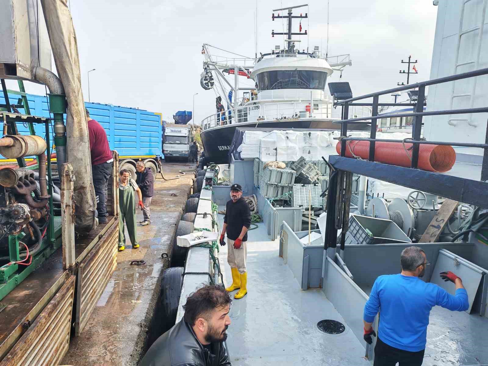 arakli limaninda hafta sonu hamsi yogunlugu 3 ZVDjjg6z