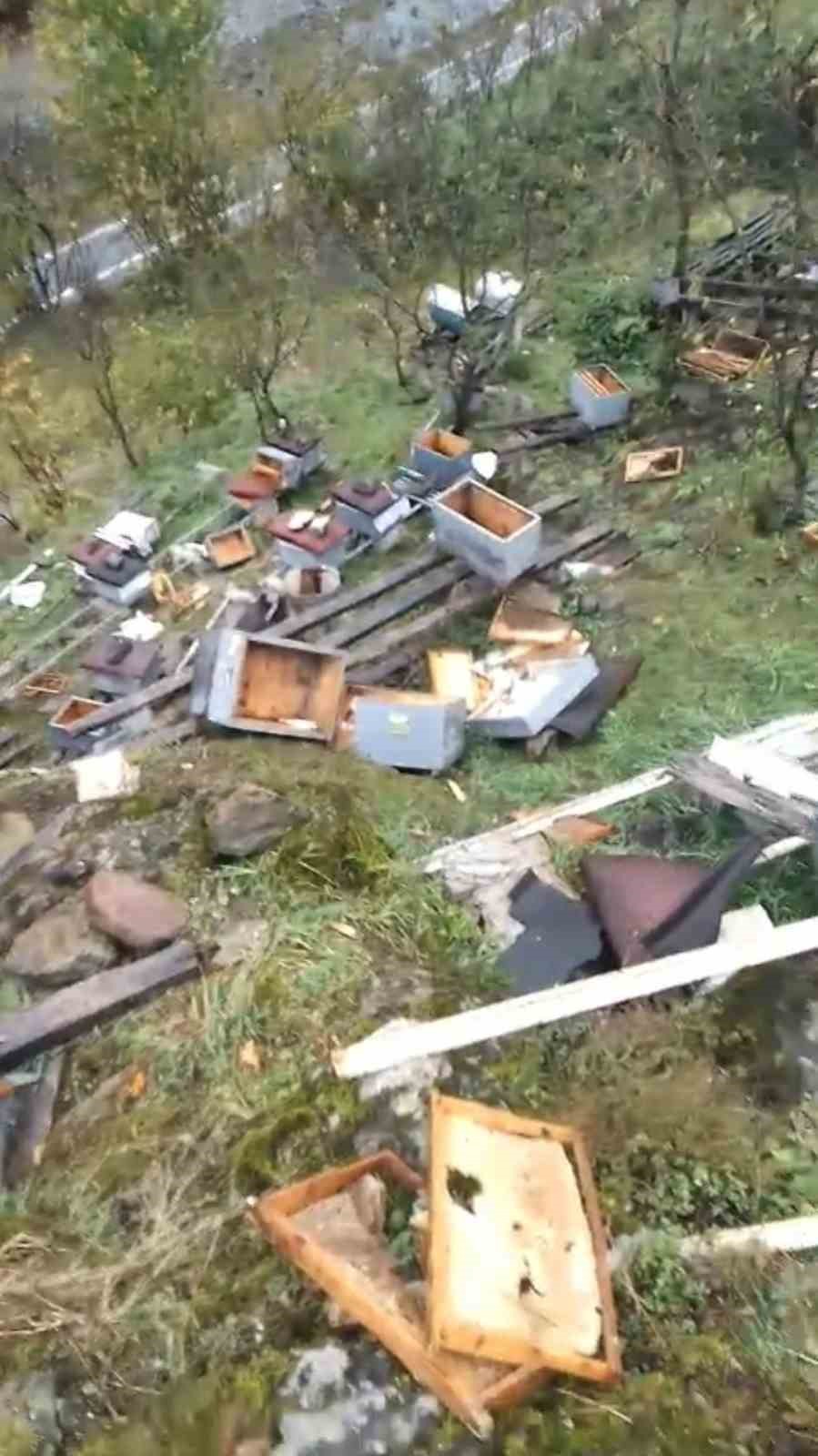 Araklı’da ayılar 50’den fazla kovanı telef etti 5 araklida ayilar 50den fazla kovani telef etti 1 PgtJcUym
