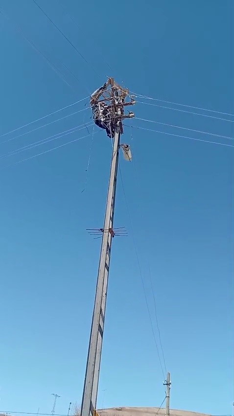 Aras Elektrik’ten doğa dostu adım: Fırtınada zarar gören leylek yuvaları yeniden yerine yerleştirildi 5 aras elektrikten doga dostu adim firtinada zarar goren leylek yuvalari yeniden yerine yerlestirildi 1