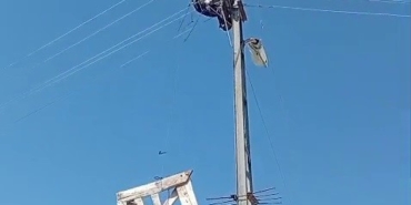 aras-elektrikten-doga-dostu-adim-firtinada-zarar-goren-leylek-yuvalari-yeniden-yerine-yerlestirildi-uLnxu79e.jpg