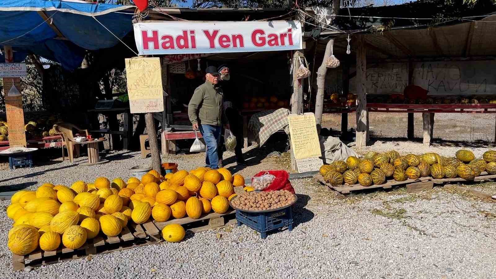 arastirmaci kavuncu dede ata tohumlarini gelecege tasiyor 0 ThIHZJ1s