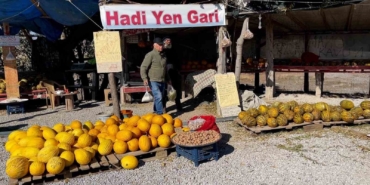 arastirmaci-kavuncu-dede-ata-tohumlarini-gelecege-tasiyor-ZsuHR7wI.jpg