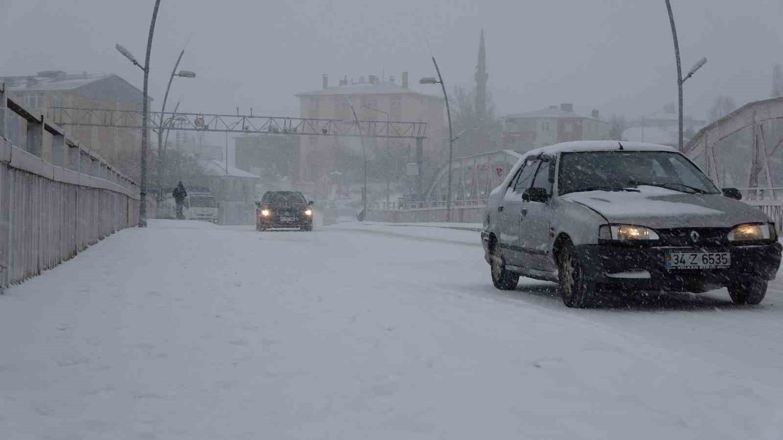 ardahan beyaza burundu 3