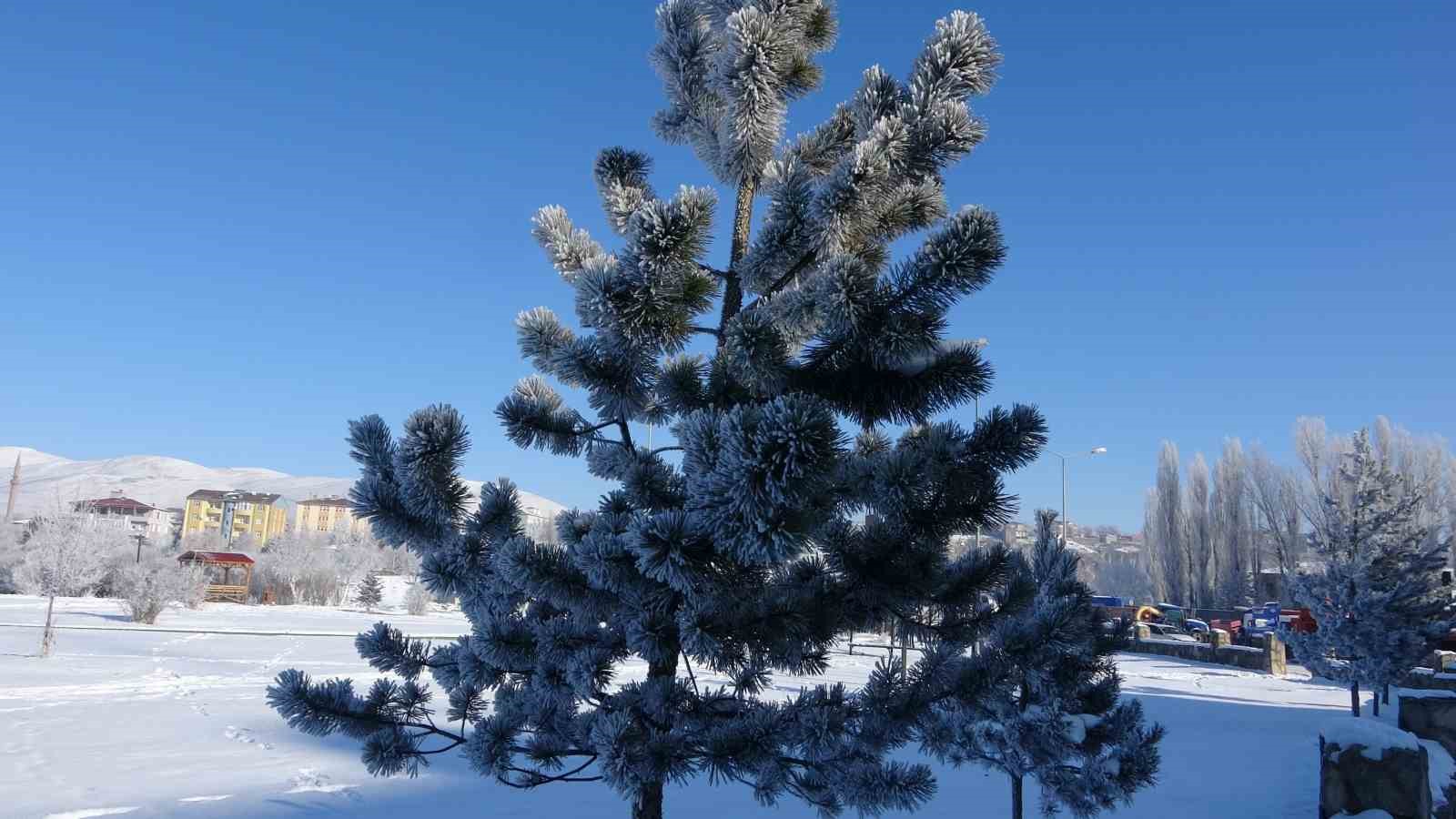 ardahan dondu gole eksi 397yi gordu 8 5HDXpL7u