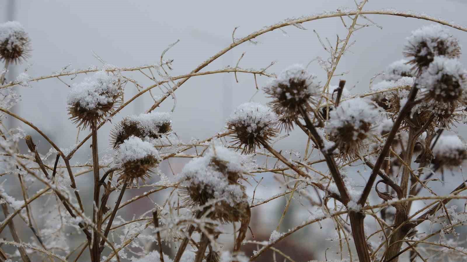 ardahan eksi 15 dereceyle buz kesti 2