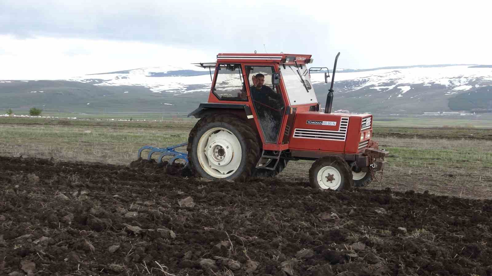 ardahanda bugday ve arpa ekimi basladi 2 gHHyVFM5
