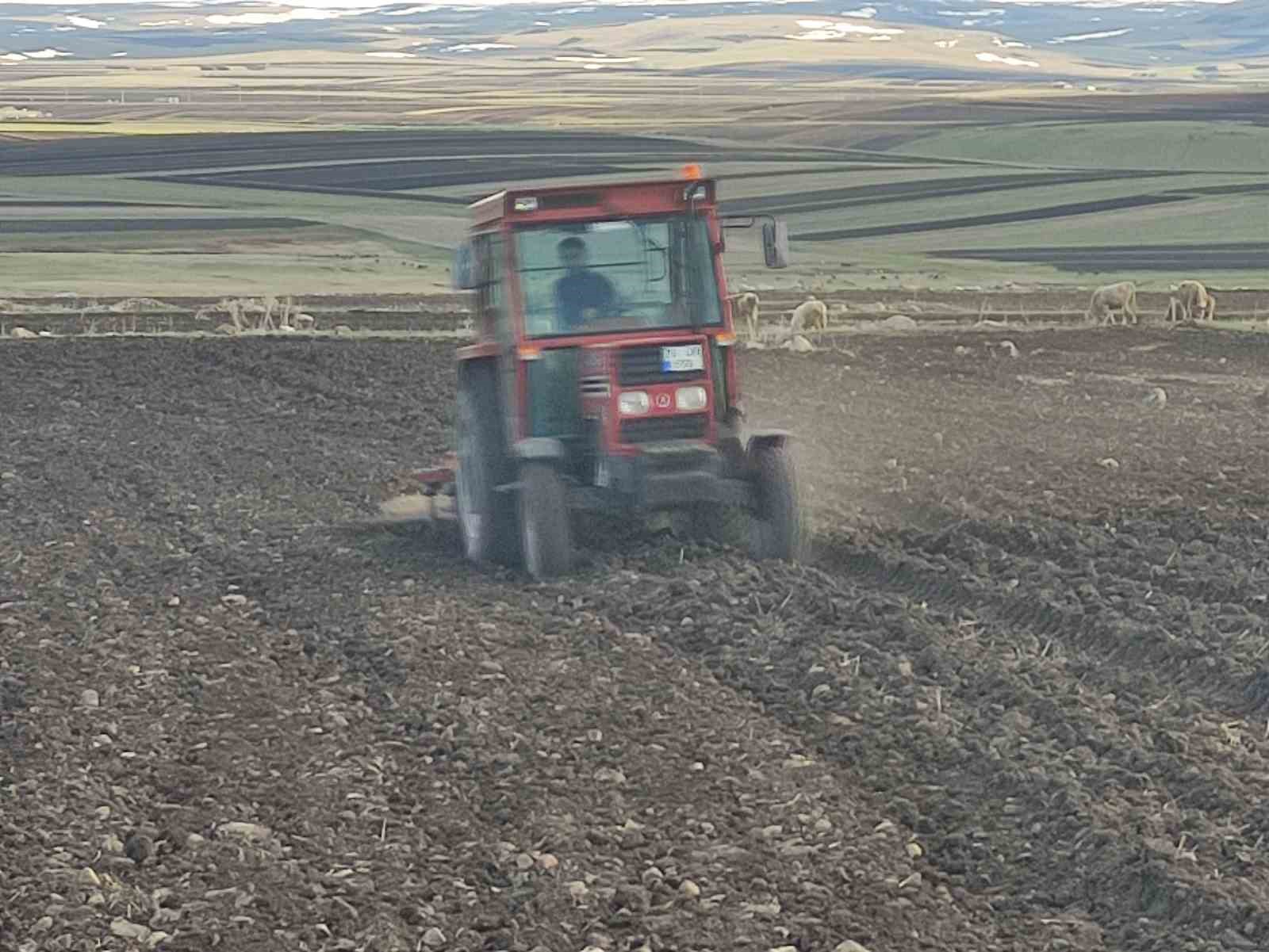ardahanda bugday ve arpa ekimi basladi 5 EZ61JMv9