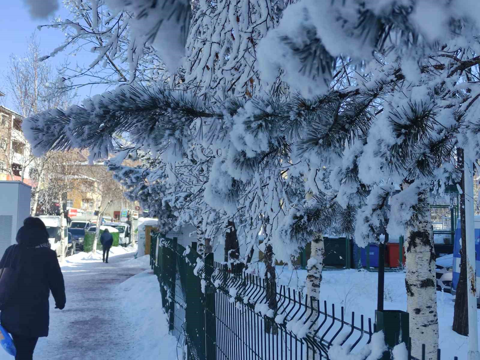 ardahanda dondurucu soguk agaclari kiragiyla kapladi 2 9gWhcU93