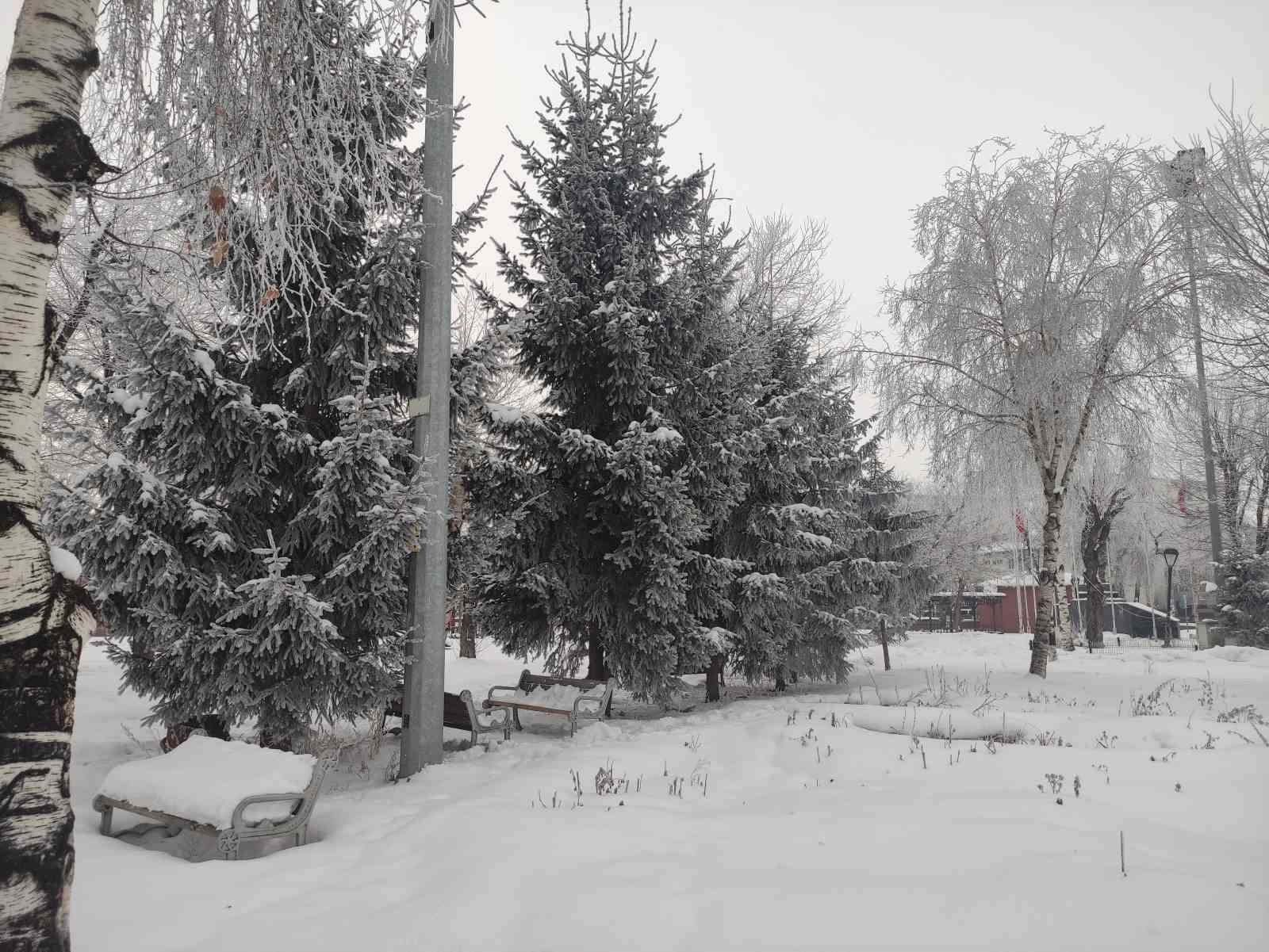 ardahanda dondurucu soguk agaclari kiragiyla kapladi 3 ihGrOzau