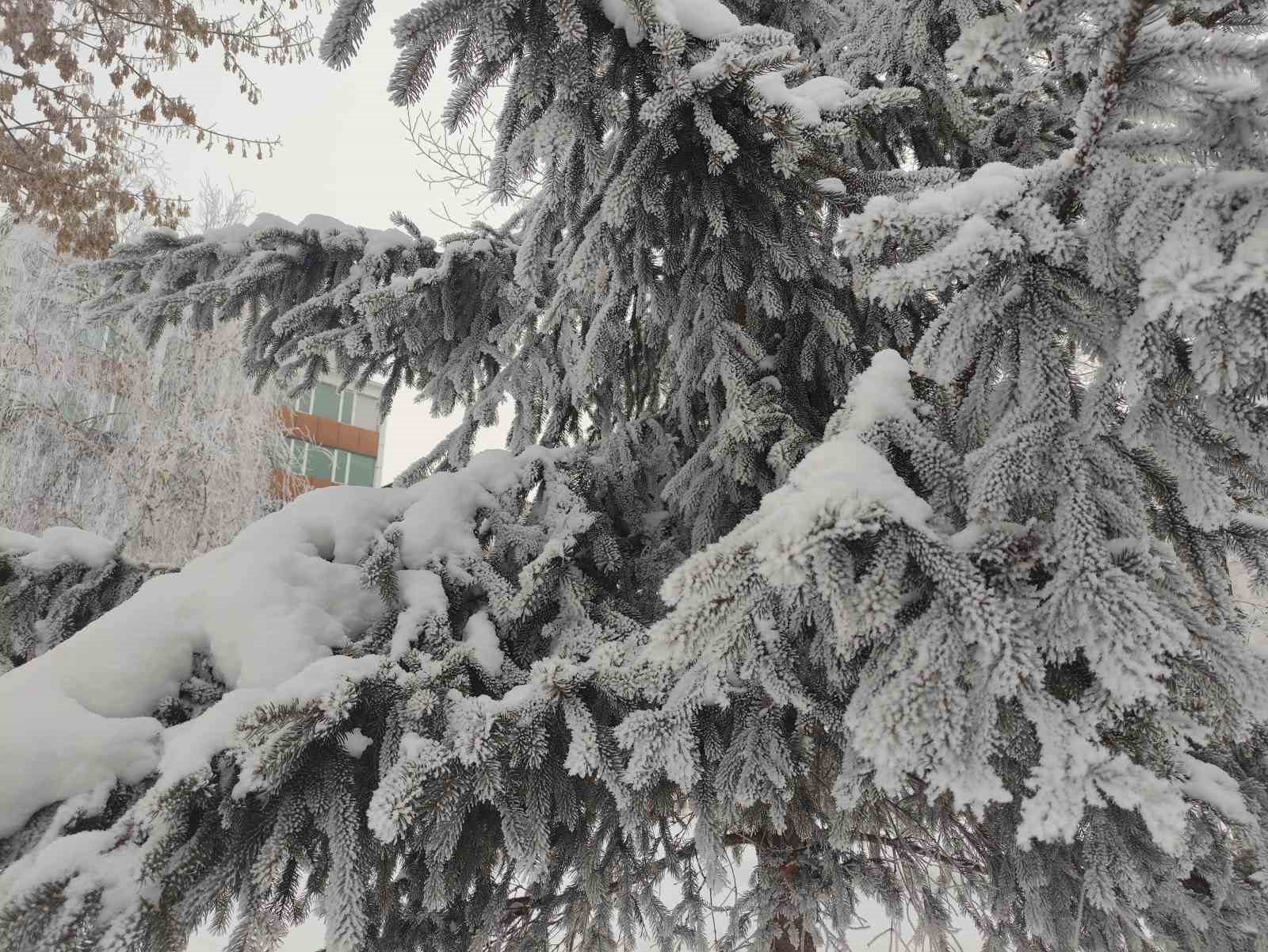 ardahanda dondurucu soguk agaclari kiragiyla kapladi 4 tzvKzc1y