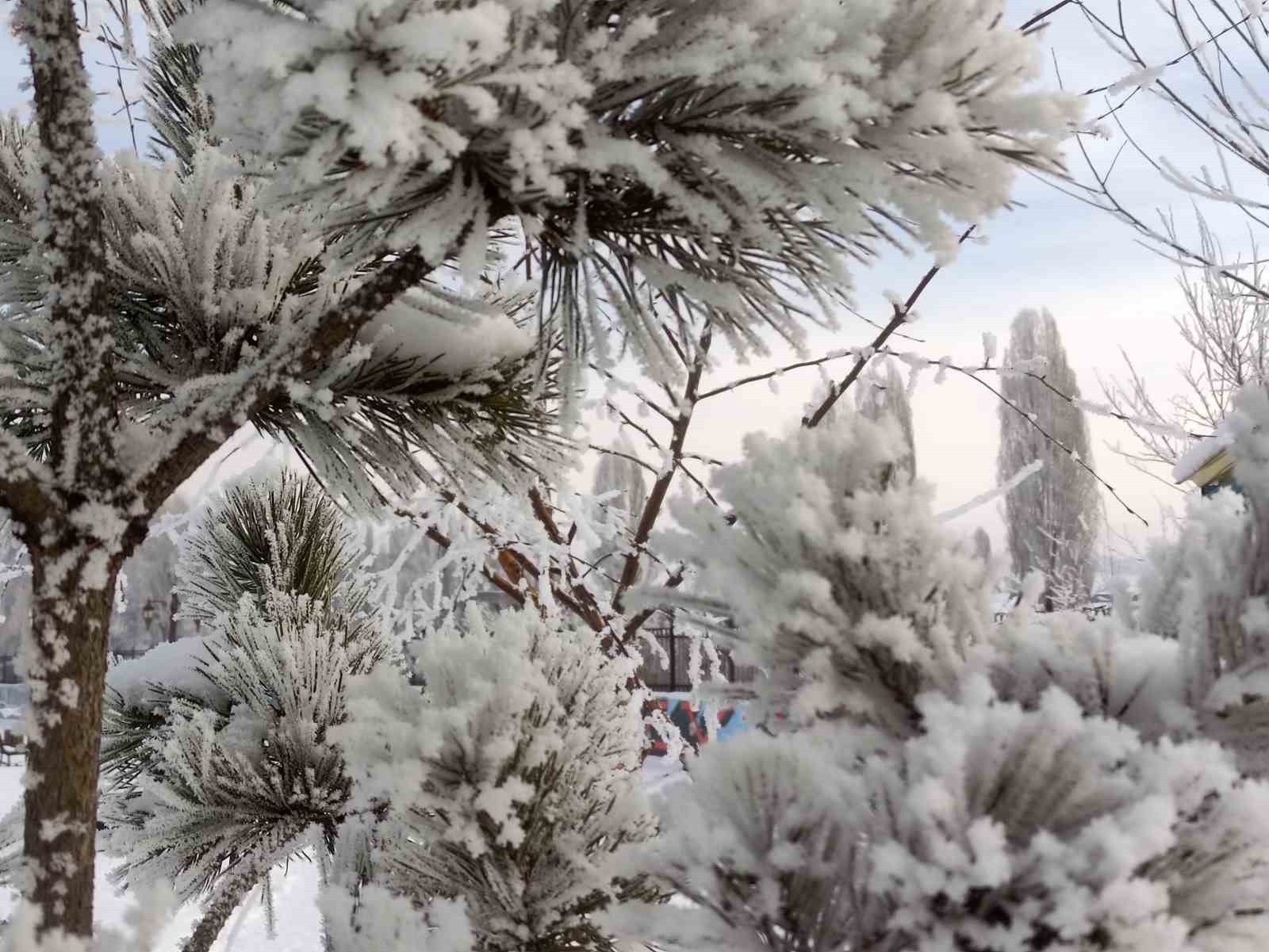 ardahanda dondurucu soguklar etkili oldu 1 2dISa6Kq