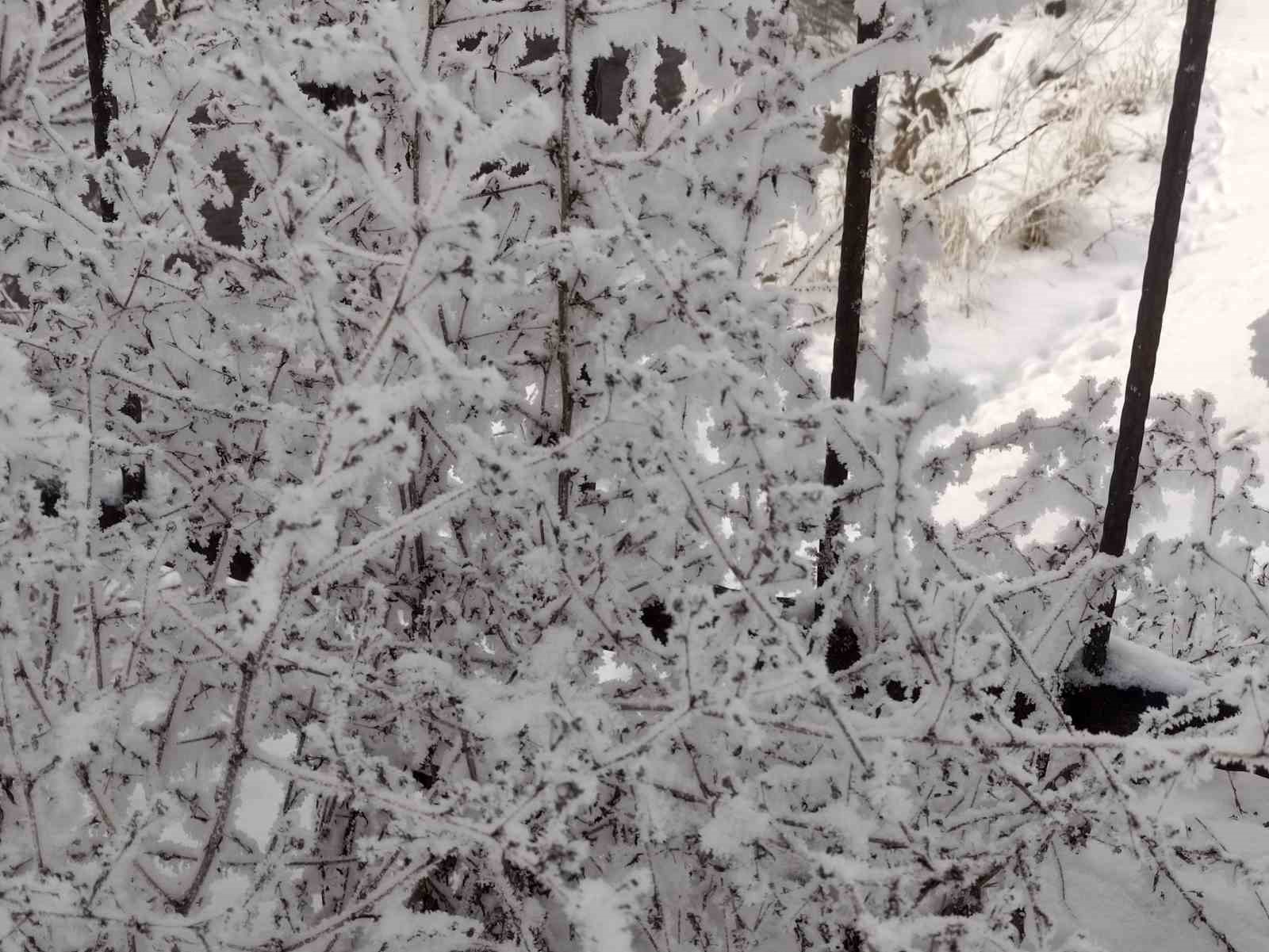 ardahanda dondurucu soguklar etkili oldu 2 SZScbMuE