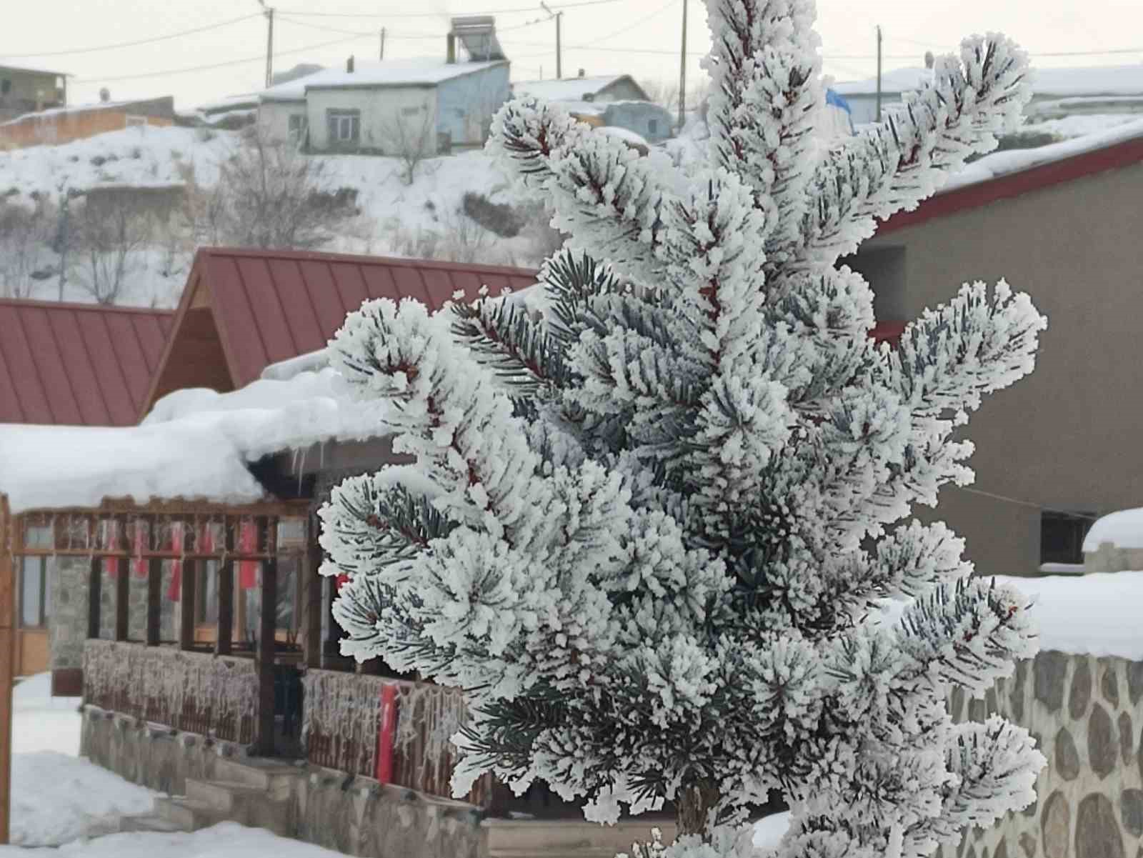 ardahanda kar sonrasi dondurucu soguklar etkili oldu 2 dJHOZ43Z