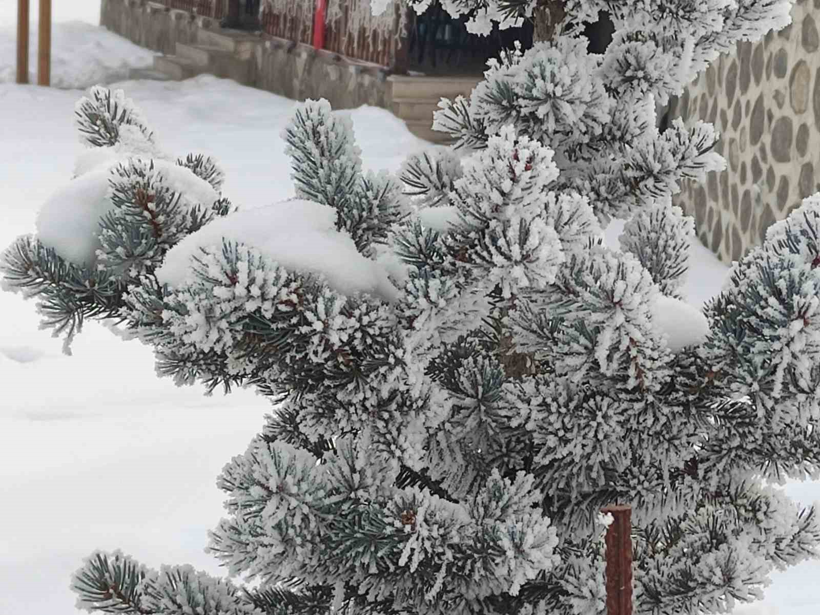 ardahanda kar sonrasi dondurucu soguklar etkili oldu 3 pfKOgVgV