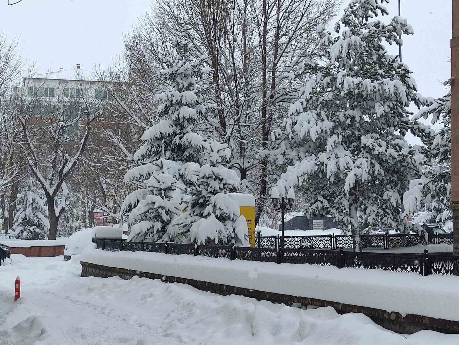 ardahanda kar yagisi yeniden basladi 3 RkwmmHbn
