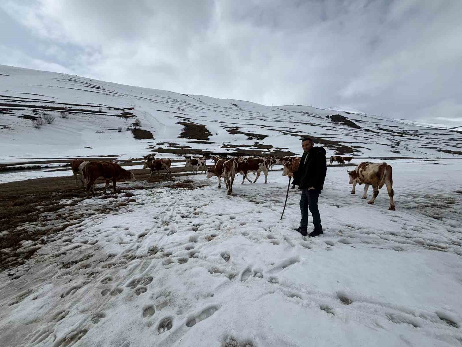 ardahanda kis mevsiminin uzamasi hayvanciligi vurdu 0 nDVu6Gdb