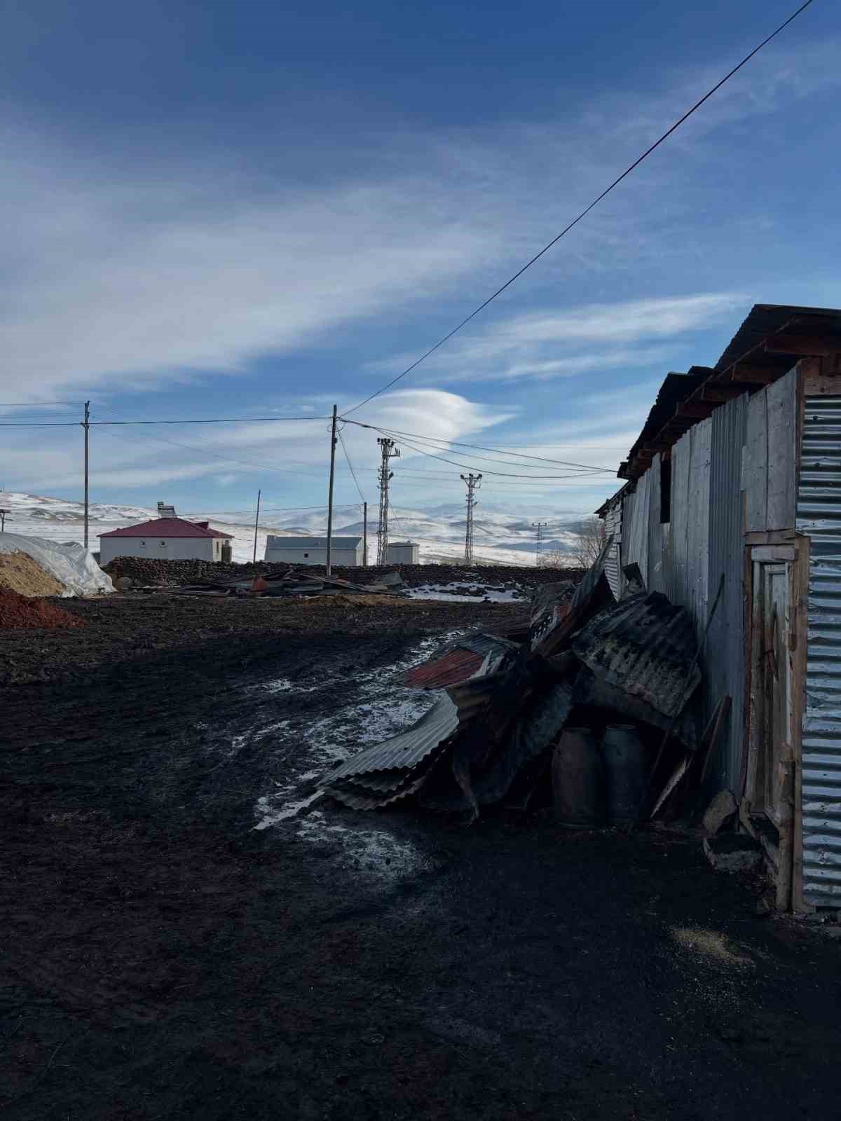 ardahanda korkutan yangin traktor ot balyalari ve 10 ton tahil kule dondu 1 zKbEZRBL