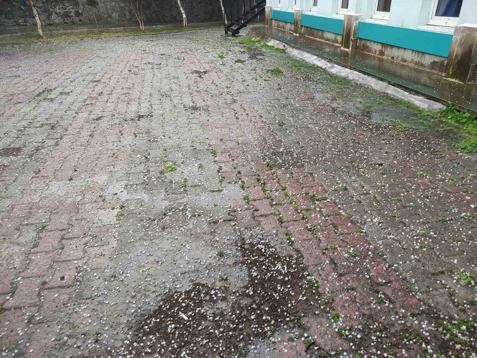 ardahanda saganak ve dolu yagisi tarim arazilerine zarar verdi 0 seXBuOmE