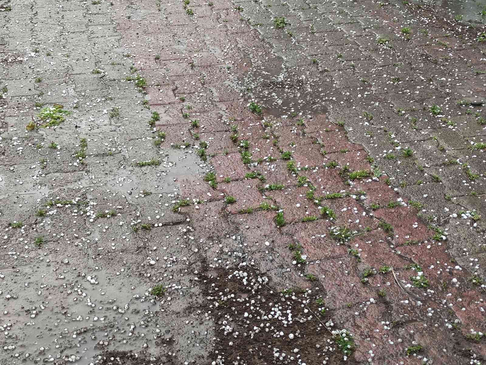 ardahanda saganak ve dolu yagisi tarim arazilerine zarar verdi 1 OIBuqO2p